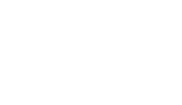 Wonder Crowds