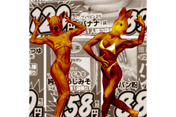 usomitaina twins